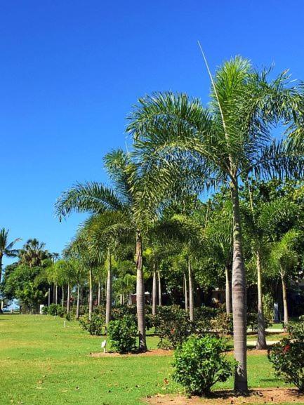 Dunk Island View Caravan Park Wongaling Beach Exterior photo
